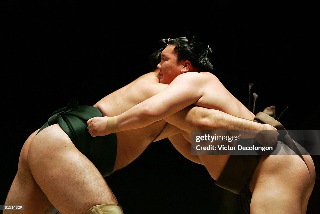 2008 Grand Sumo Tournament