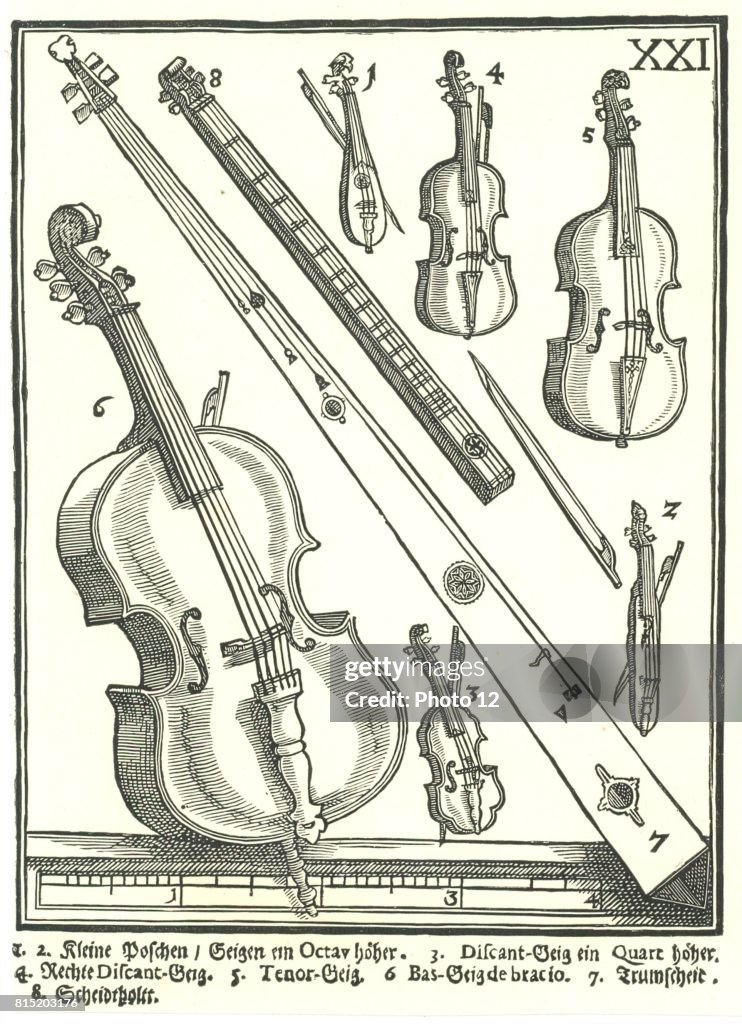 Violins and related instruments.