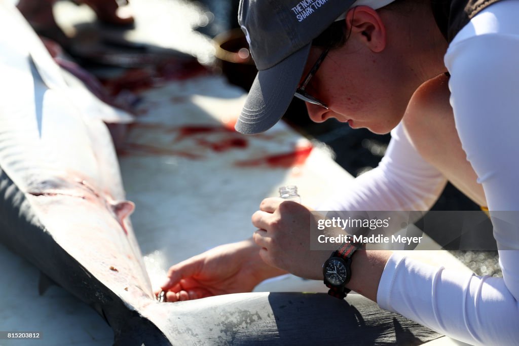 North Atlantic Monster Shark Tournament