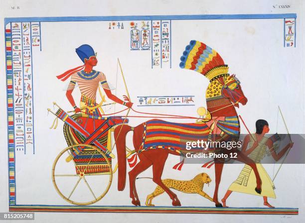 Ramses II hunting in his chariot - from a fresco in the temple of Abu Simbel and the book "The Monuments of Egypt and Nubia" by d'Ippolito Rossellini.