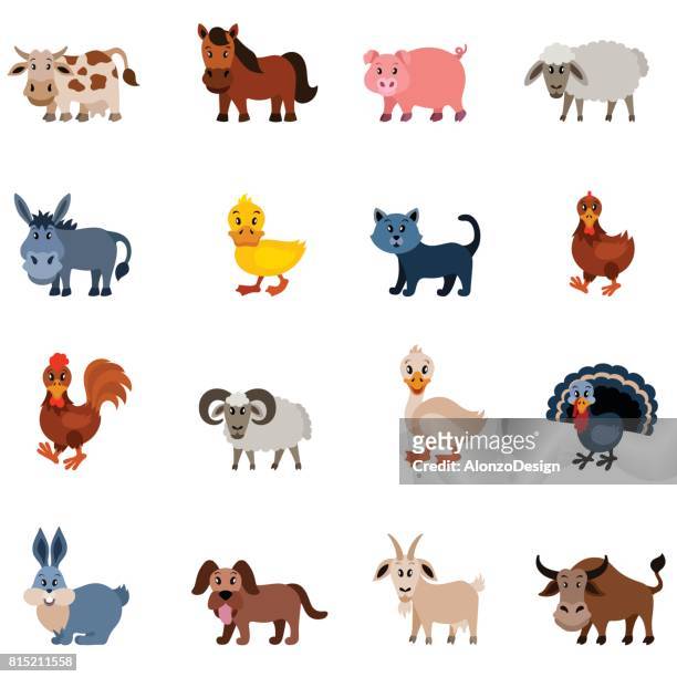 domestic animal characters - livestock stock illustrations