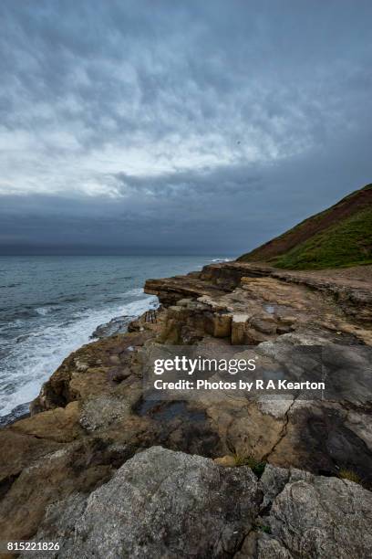 rocky coastline at filey brigg, north yorkshire, england - littoral rocheux photos et images de collection