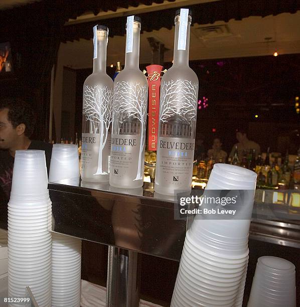 Atmosphere at the Belvedere RZA Concert After Party at Warehouse Live on June 10, 2008 in Houston, Texas.