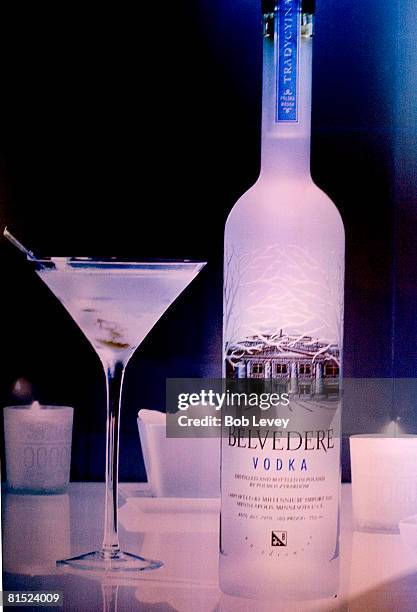 Atmosphere at the Belvedere RZA Concert After Party at Warehouse Live on June 10, 2008 in Houston, Texas.