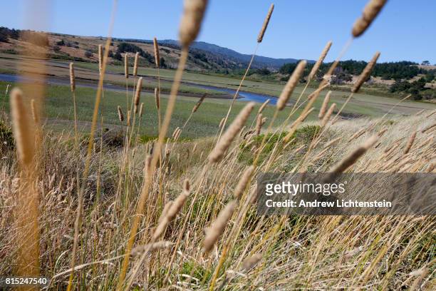 Landscapes from Point Reyes National Seashore, a stretch of federally protected Pacific Ocean coastline, on July 6, 2017 outside of the town of...