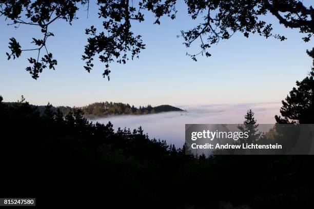 Landscapes from Point Reyes National Seashore, a stretch of federally protected Pacific Ocean coastline, on July 6, 2017 outside of the town of...