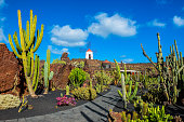 Cactus garden in Lanzarote