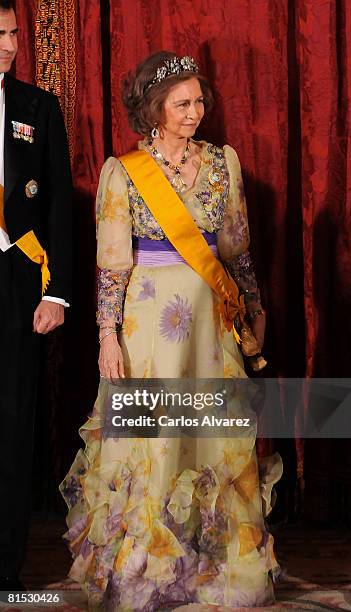 Queen Sofia of Spain attends a Gala Dinner Honouring Mexican President on June 11, 2008 at the Royal Palace in Madrid, Spain.