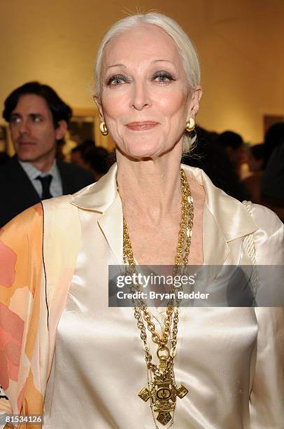 Model Carmen Dell'Orefice attends "For Arts Sake" June 11, 2008 at the Openhouse Gallery in New YorkCity.