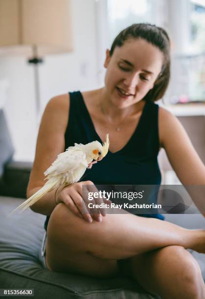young woman sits with cockatiel - cockatiel fotografías e imágenes de stock