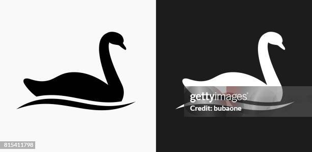 Swan Icon On Black And White Vector Backgrounds High-Res Vector