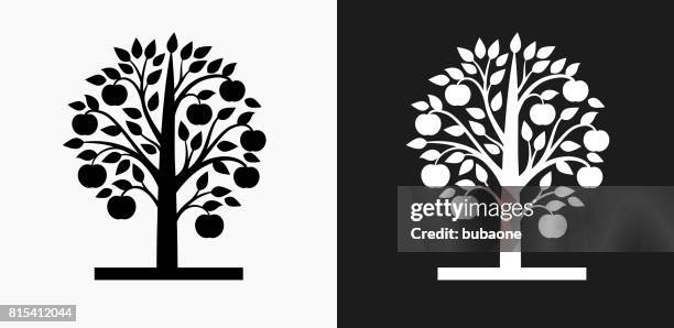 apple tree icon on black and white vector backgrounds - fruit black background stock illustrations
