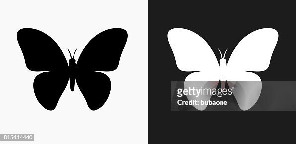33 White Butterfly Black Background High Res Illustrations - Getty Images
