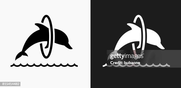 jumping dolphin icon on black and white vector backgrounds - hula hoops clip art stock illustrations