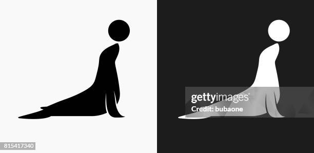 sea lion icon on black and white vector backgrounds - pinnipedia stock illustrations