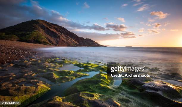 makena reef - makena maui stock pictures, royalty-free photos & images