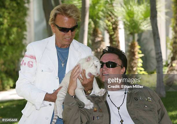 Illusionists Siegfried Fischbacher and Roy Horn appear with one of five 6-week-old tiger cubs June 12, 2008 in Las Vegas, Nevada. The cubs will take...