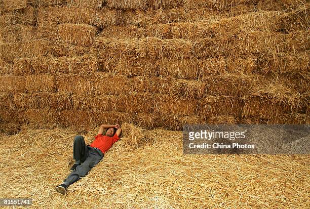 Farmer rests after baled straw on a field on June 13, 2008 in Gaoling County of Shaanxi Province, China. Every year, China produces about 700 million...