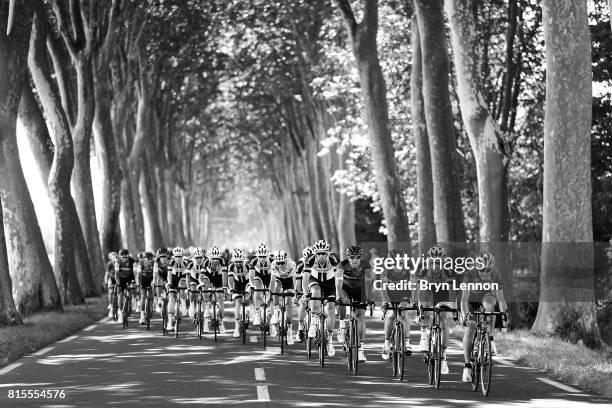 The peloton ride past a field of trees during stage 14 of the Le Tour de France 2017, a 181km stage from Blagnac to Rodez on July 15, 2017 in Rodez,...