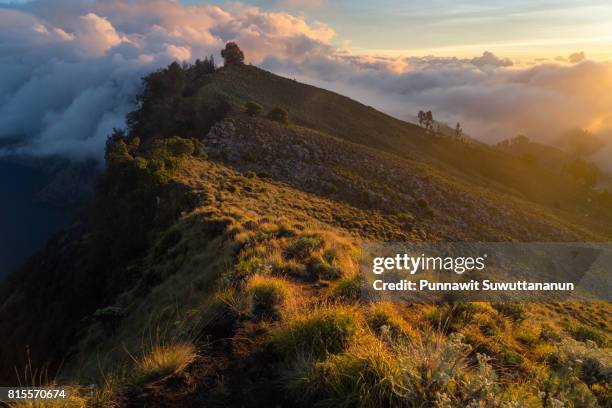 beautiful scenery of senaru crater at sunset, rinjani volcano mountain, lombok island, indonesia - mount rinjani 個照片及圖片檔