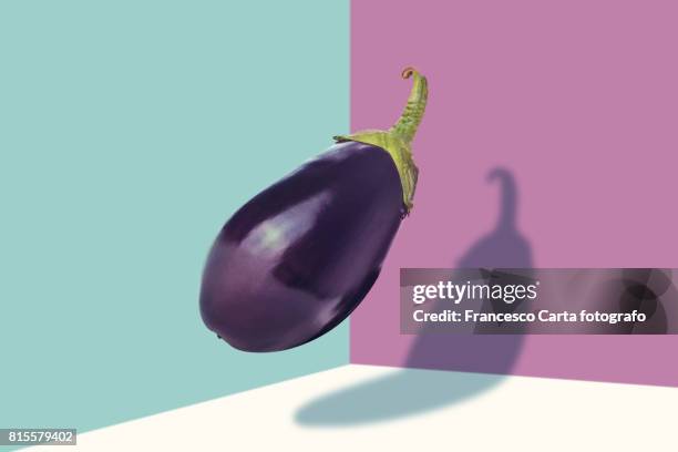 aubergine - eggplant stockfoto's en -beelden