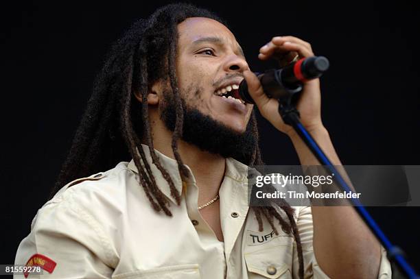 Stephen Marley performs as part of the Bonnaroo Music Festival on June 13, 2008 in Manchester, Tennessee.