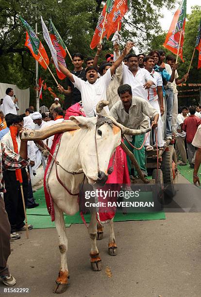 Activists from India's main opposition Bharatiya Janata Party and farmers ride on a bullock cart and shout anti-Congress-led UPA government slogans...