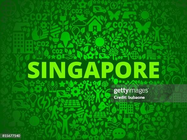 singapore environmental conservation vector icon pattern - singapore executive stock illustrations
