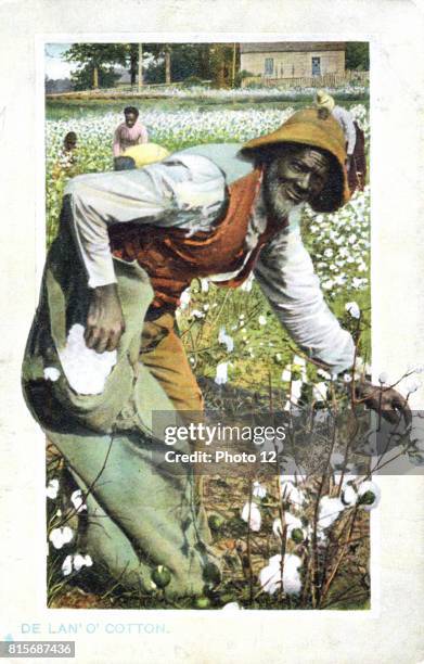 Afro-Americans picking cotton, USA. Postcard c1900.