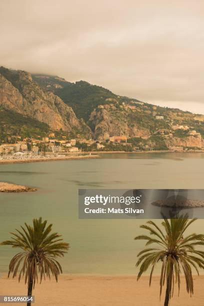 palm trees on the beach and the mediterranean sea in menton - riviera francesa imagens e fotografias de stock