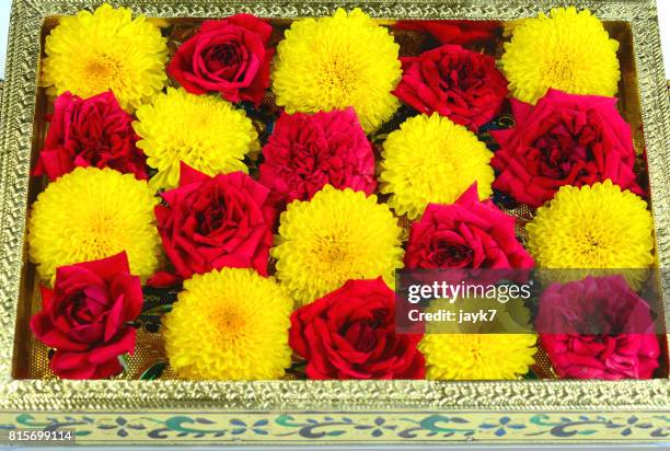 festival flowers - jayk7 diwali stock-fotos und bilder