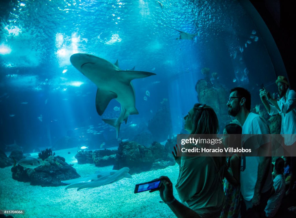 Lisbon Oceanarium Receives Over One Millon Visitors Per Year And Is A Main Tourist Attraction