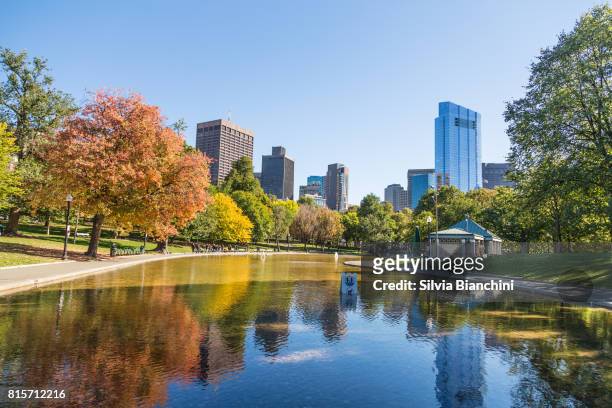 autumn in boston - boston massachusetts stock pictures, royalty-free photos & images