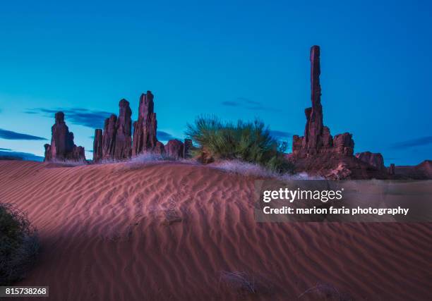 twilight at the totem pole - tótem fotografías e imágenes de stock