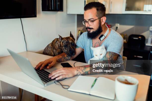 man aan het werk thuis met zijn hond en de kat naast hem - cat laptop stockfoto's en -beelden