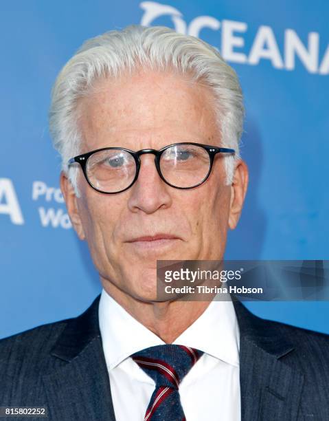 Ted Danson attends the 10th annual Oceana SeaChange Summer Party at Private Residence on July 15, 2017 in Laguna Beach, California.