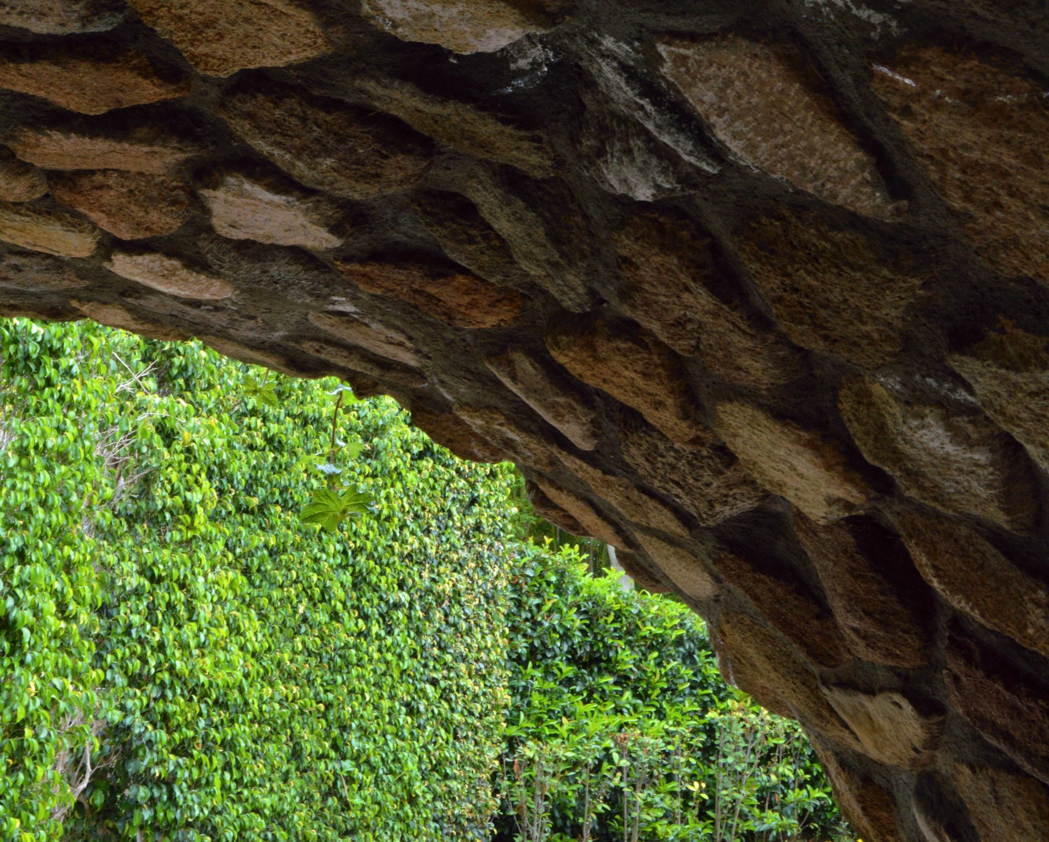 jardín piedra
