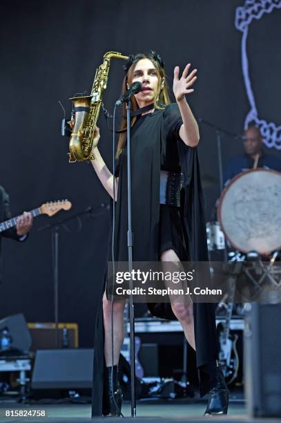 Harvey performs at the 2017 Forecastle Music Festival on July 16, 2017 in Louisville, Kentucky.