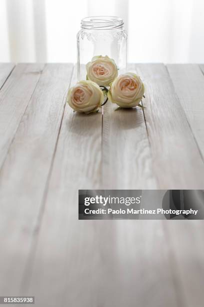 three white roses on table - tavolo 個照片及圖片檔