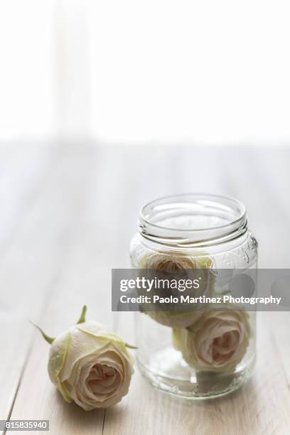 three white roses on table - tavolo stockfoto's en -beelden