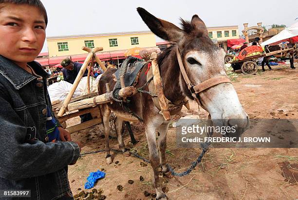 Uighur boy keeps an eye on his donkey cart used for transporting goods and people at the Sunday Bazaar in Kashgar on June 15, 2008 in northwest...