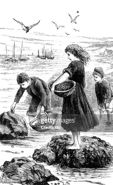 ilustrações de stock, clip art, desenhos animados e ícones de children with baskets at the shore collecting limpets - 1891