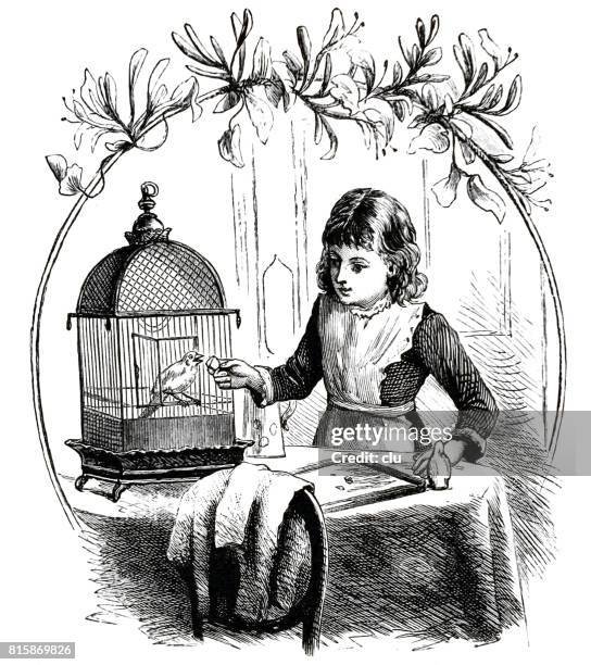mädchen, die fütterung des kanarienvogel im vogelkäfig - vogelkäfig stock-grafiken, -clipart, -cartoons und -symbole