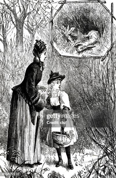 mother and daughter in forest searching for the hare - 1891 stock illustrations