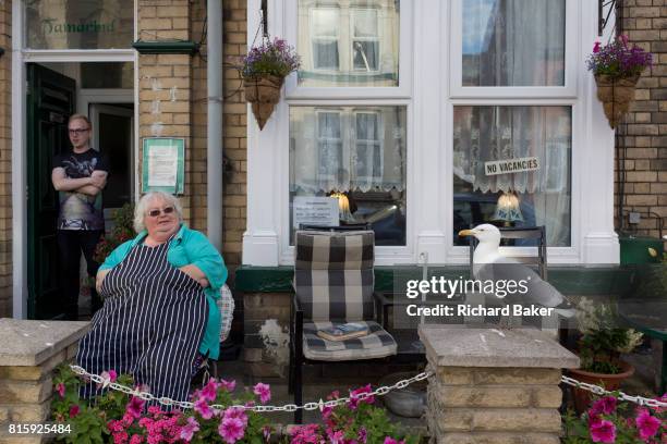 The landlady of a typical British seaside Bed and Breakfast sits outside wearing her apron while a tame seagull waits for regular titbit scraps that...