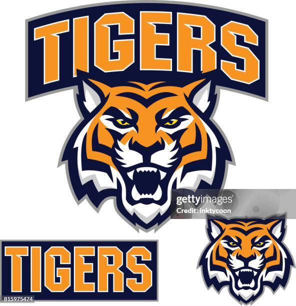 tiger sport kit - maskottchen stock-grafiken, -clipart, -cartoons und -symbole