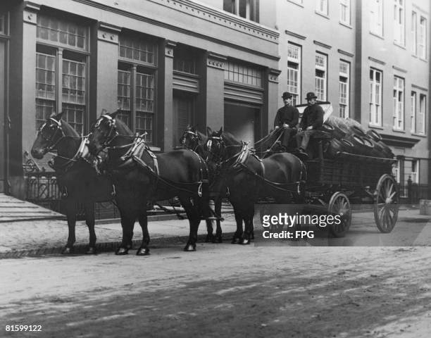 Horse-drawn brewer's dray at 51st Street and Park Avenue, New York, circa 1925.
