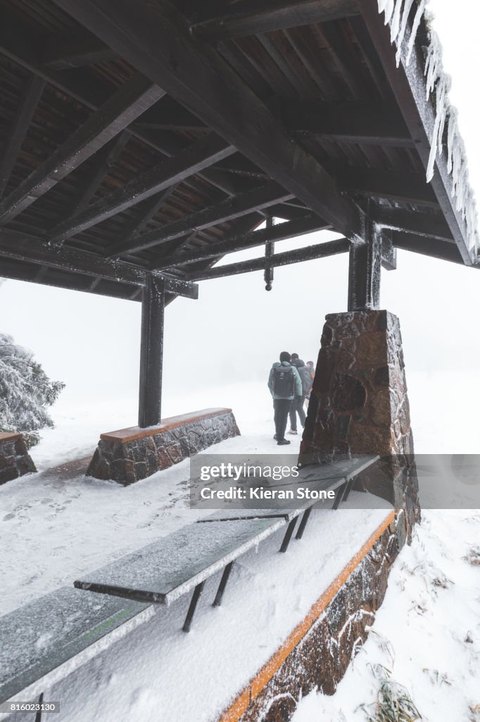 Shelter in the Snow