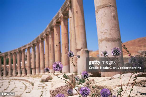 oval plaza, jerash, a city of the roman decapolis, jordan, middle east - roman decapolis city - fotografias e filmes do acervo