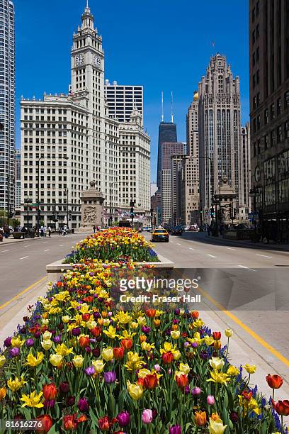 north michigan avenue, chicago - michigan avenue stock pictures, royalty-free photos & images